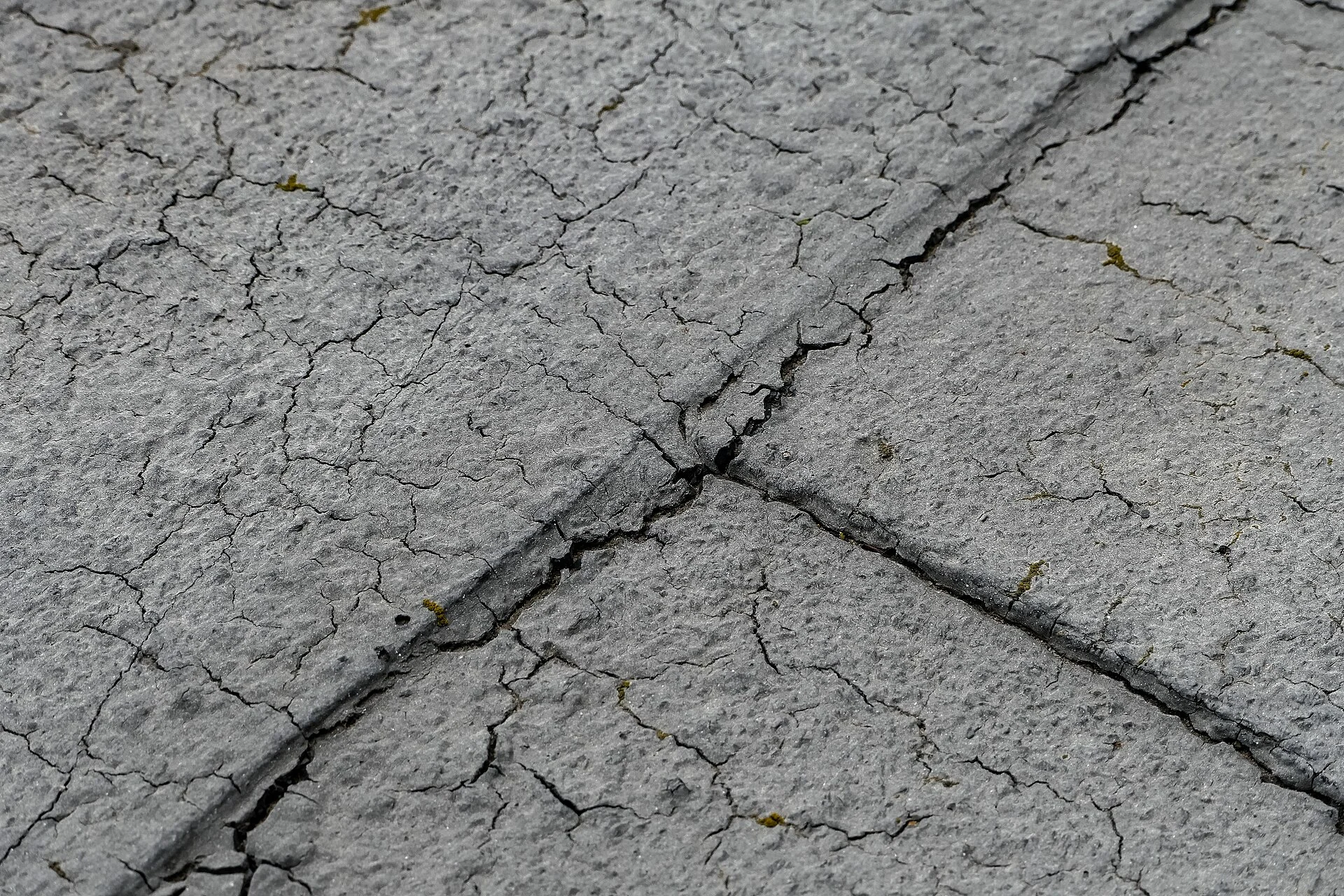 Detalj av ett slitet tätskikt på ett platt tak i Sverige